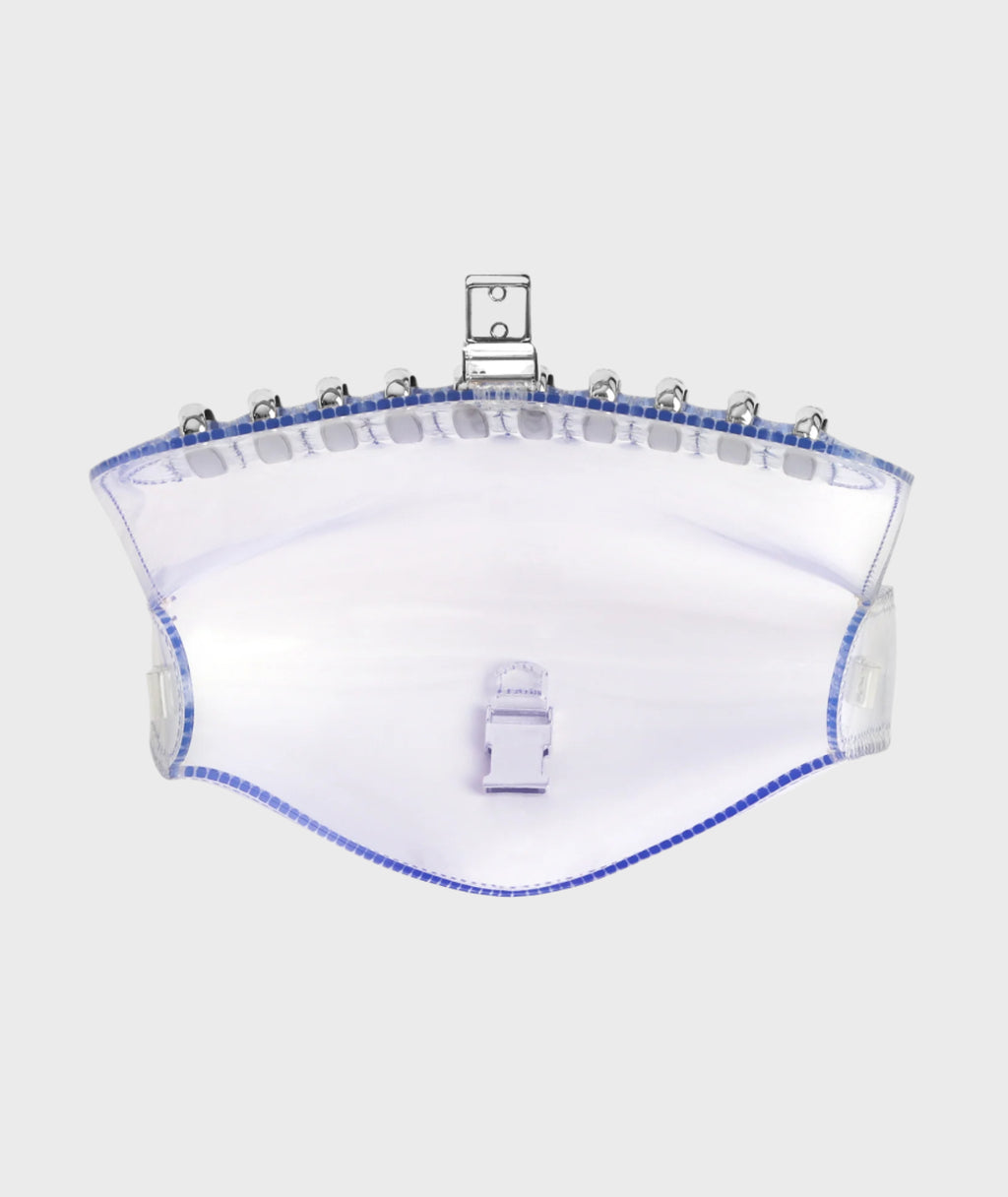 CLEAR EVERYDAY BAG